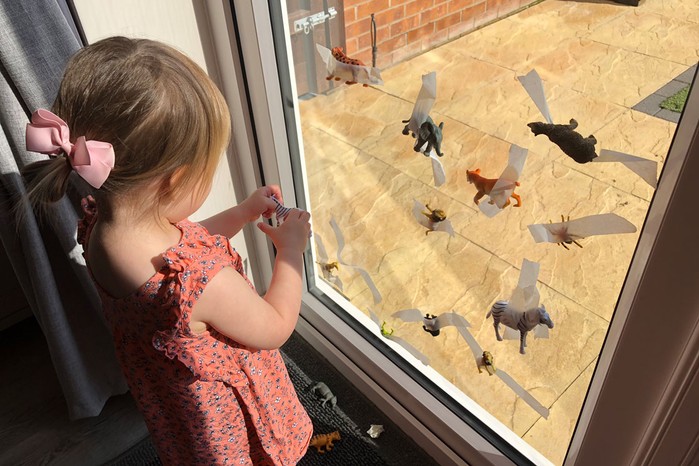 animalrescue animal rescue game