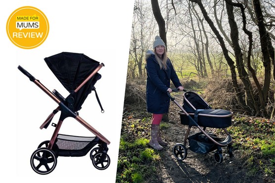 Didofy Cosmos Bloom thumbnail