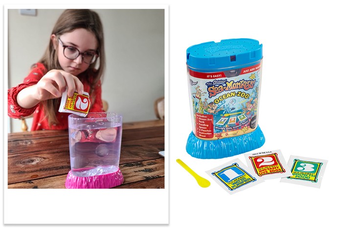 sea-monkey ocean zoo with child tester Emile Rose